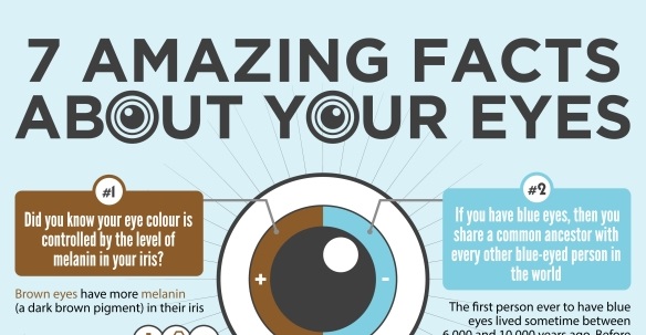 6 Fascinating Facts About Your Eyes And Your Vision